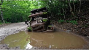Малый Бамбак: горная магистраль Западного Кавказа