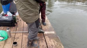 Белый пламп «Санечек»