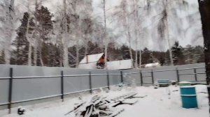 Видео привет 9 ноября 2025 года