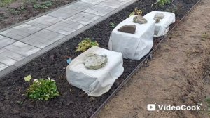 Наши 8,4 сотки🏡Занимаюсь укрытием растений.