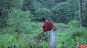 САДЫ ЯПОНИИ ЯГОДНОЕ МОРОЖЕННОЕ   "Лизики Чанне"l ИЗ ЯГОД ЧАСТНОГО САДА