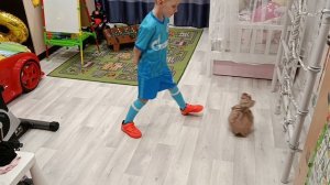 Упражнения с мячом дома