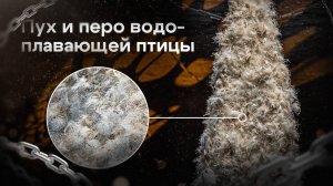 Материал Пух перо