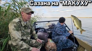⚡️САЗАН от "макухи" одурел и клюёт без ума 🔥 рыбалка с катера на Волге. Астрахань -Осень- 2025 !!!