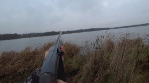 Вечерний выход по утка. Охота в Ленинградской области сезон 2025-2026 ,30.10.2025