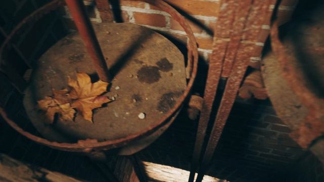 Романтический Калининград Монеточка