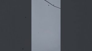 11.11.2025Г.Тренеруются.