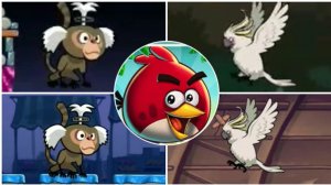 Angry birds Rio: злые птички в Рио против попугая и свинок