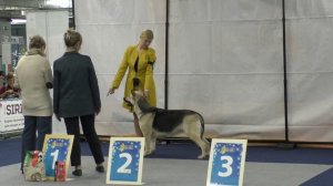 Моншер Вирсаль Исландия