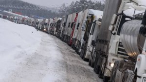 Россия упростила ввоз товаров из Казахстана и Кыргызстана