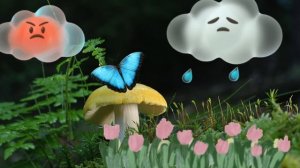 ФУТАЖ  ДЛЯ ВИДЕОМОНТАЖА