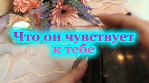 Что он чувствует к тебе 😍🤗🌺Таро