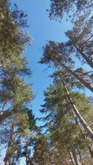 04.11.25 Горячий Ключ