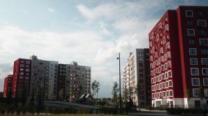 Озеленение во дворах «Рисан»