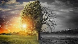 Песня № 39 Владимир Гончаров Когда Бог с нами мы живём.mp4