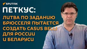 Петкус: фуры на границе ― это попытка Литвы создать casus belli для Беларуси