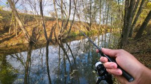 РЫБАЛКА В ГЛУШИ. ДИКАЯ РЕКА. Безмотылка! Рыбалка на мормышку и микродиж