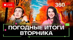 Погода 11 ноября и прогноз на завтра. Подмосковье. Парк Лазутиной. Трансляция 360