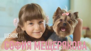 София Мещерякова - Щенок