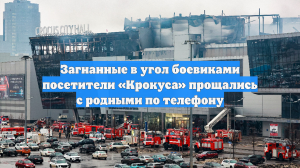 Загнанные в угол боевиками посетители «Крокуса» прощались с родными по телефону