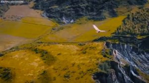 Китай на 100 лет впереди.