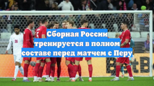 Сборная России тренируется в полном составе перед матчем с Перу