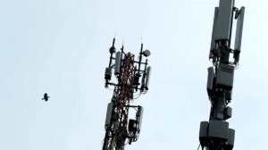 Восемь человек задержали при попытке диверсии на сотовых вышках в Башкирии