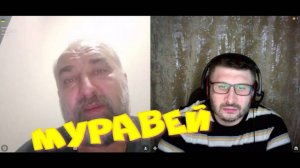 543. Муравей.