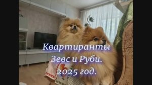 Квартиранты 2025г.