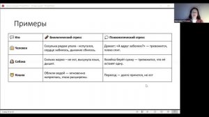 Домашние любимцы . Занятие от 11.11.2025. Педагог Дарченко Татьяна Олеговна