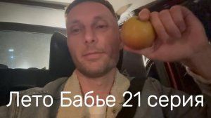 Лето бабье 21 серия #Я #Вихрицкий #Лето #питер #осень #спб #русский #россия #заказник #природа #мир