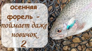 осенняя форель - поймает даже новичок 2