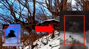 Загадочные существа пугают ночью и охотники боятся - Страшные видео