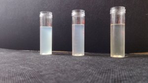 Определение присутствия пади в мёде.