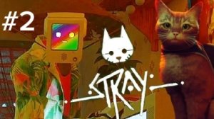 Прохождение игры Stray (про рыжего котика) | часть 2