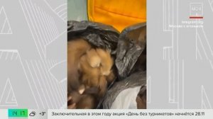 Телеканал «Москва 24», программа «Новости», 10.11.2025