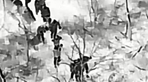 25 украинских боевиков сдались в плен в окруженном Мирнограде