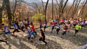 Фрязинские ориентировщики добились успех на Первенстве России