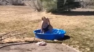 Самое Смешное Видео!😂