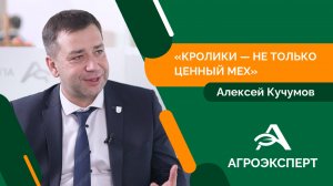 Как развивается АПК в Смоленской области, рассказал заместитель председателя регионального правитель