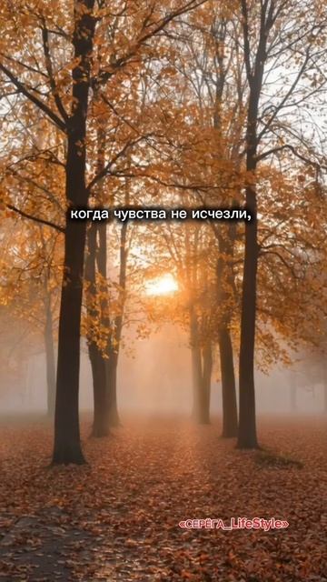 Тихая форма боли.