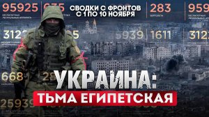 Украина: тьма египетская