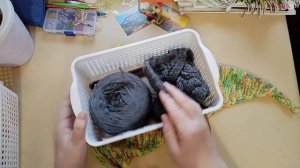 СП Шалемания.Осень 2025. Отчёт 10.