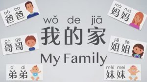 My Family Members in Mandarin Chinese _ 中文家人 _ Talking Flashcards in Mandarin Chinese _ 家人词卡