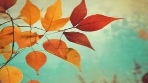 А лето наряд свой сменило.  (1)