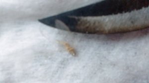 💚 ЗнАки, знАки...✨️🐳✨️