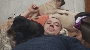 Пришел с работы, и тебя окружили собаки 🐶🐕🐩🐶- прикольно :)