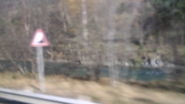 DSCN8468Осенний Архыз,канатка,ферма Альпаки ноябрь 2025