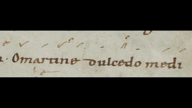 O beatum pontificem