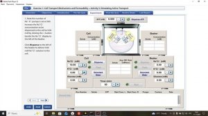 Активный транспорт-ФизиоЭксп_9